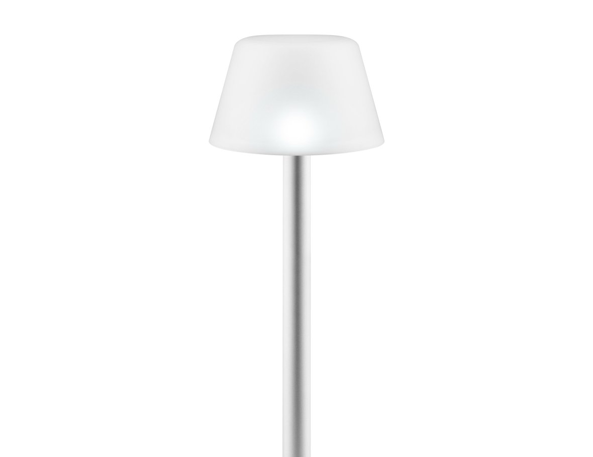 Lampe à l'énergie solaire à planter