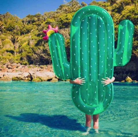 Cactus gonflable | Matelas pneumatique