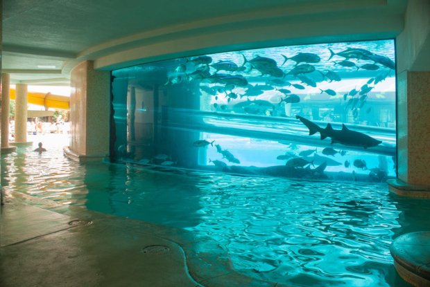 La plus dangereuse : Golden Nugget Casino & Hotel, Las Vegas (USA)