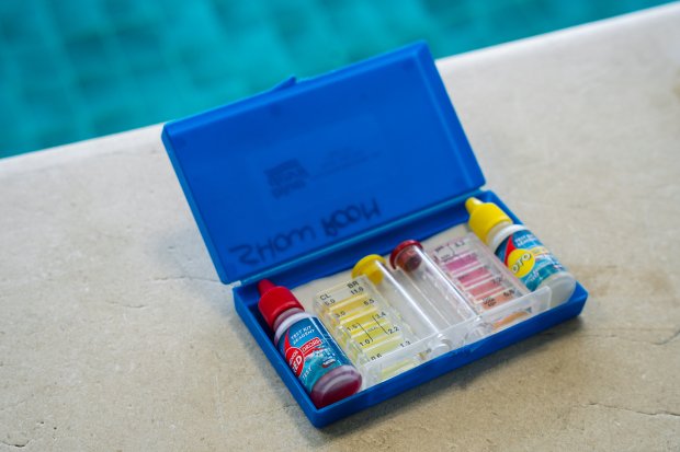 Les algues présentent dans une piscine sont-elles dangereuses ?
