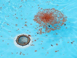 préparer la piscine pour l'été