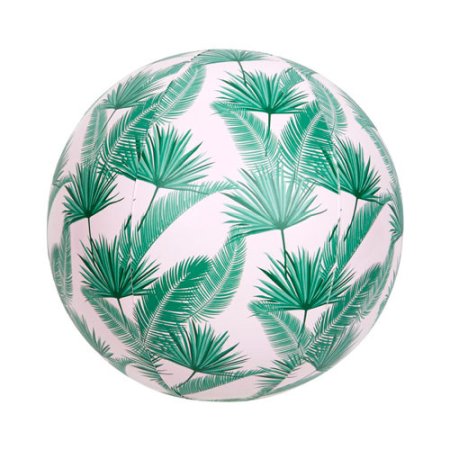 Ballon de plage | palmier